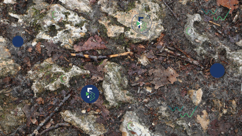 Cailloux sur sol humide Cailloux sur sol humide